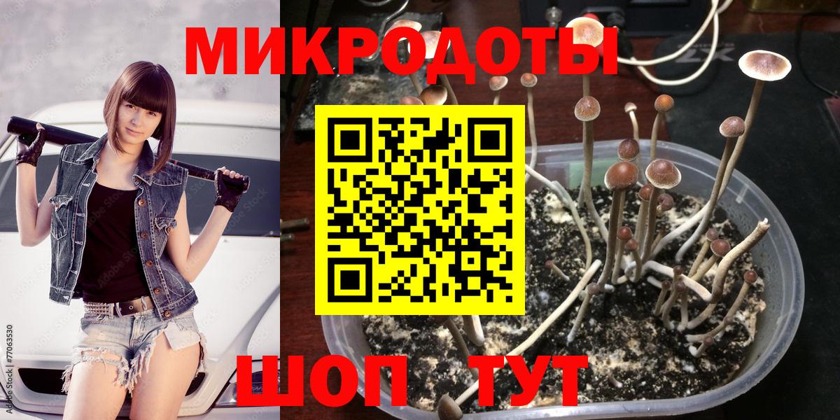 сколько стоит  Вход с VPN  Михайловка  Галлюциногенные грибы прущие грибы  Псилоцибиновые грибы MAGIC MUSHROOMS 