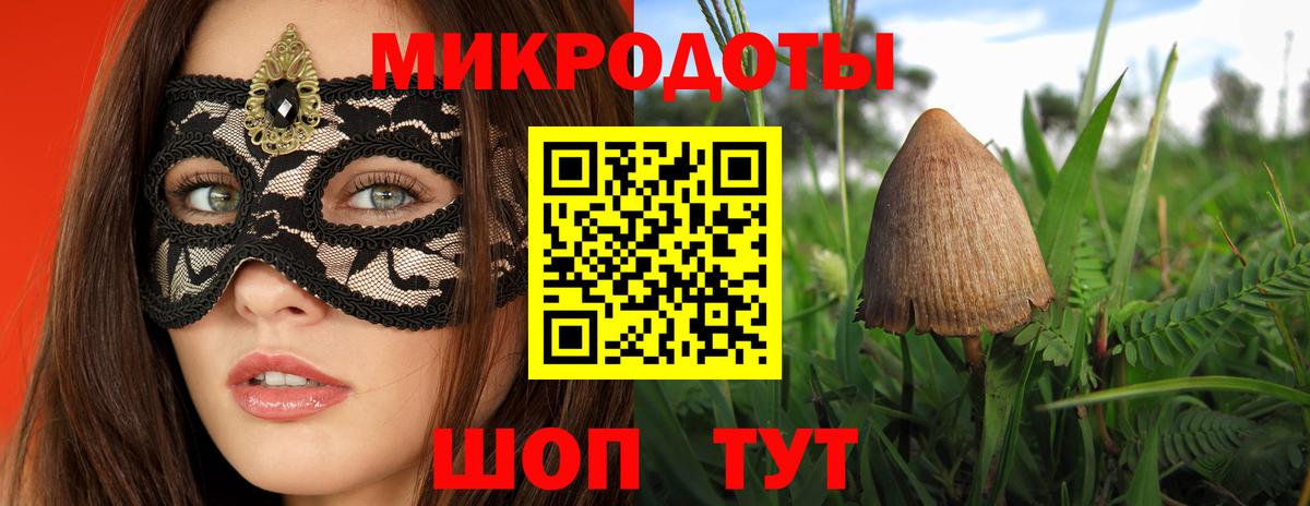 Псилоцибиновые грибы Psilocybine cubensis Михайловка